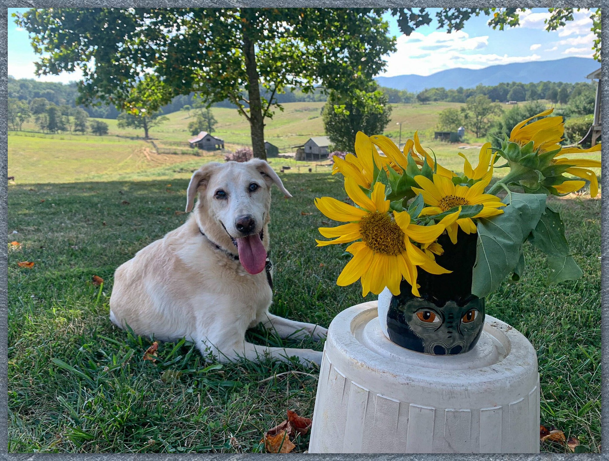 Sunny Days Pottery